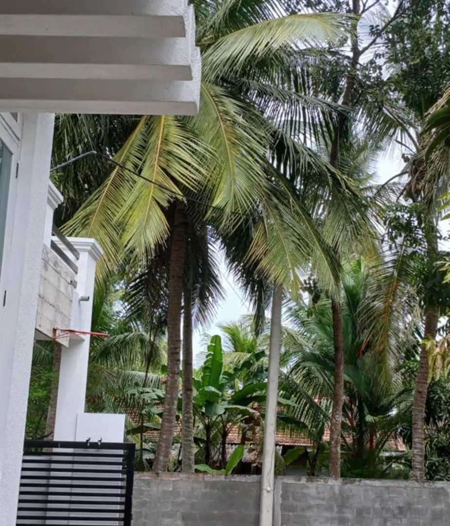 La Vie By Mar Bed & Breakfast Negombo Sri Lanka